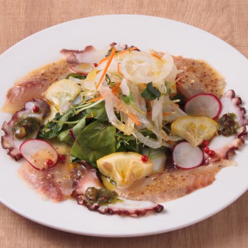 逗子小坪漁港から直送鮮魚