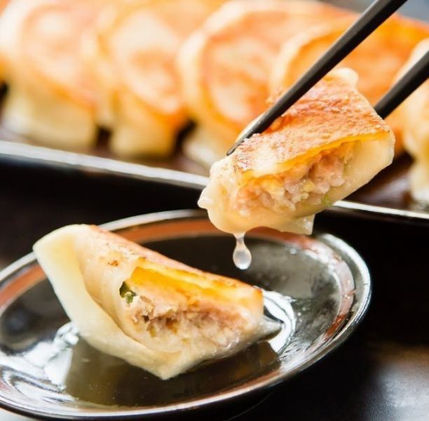 [大感恩节]“博多铁板饺子吃到饱套餐”想吃多少就吃多少♪[2小时吃到饱/1000日元]
