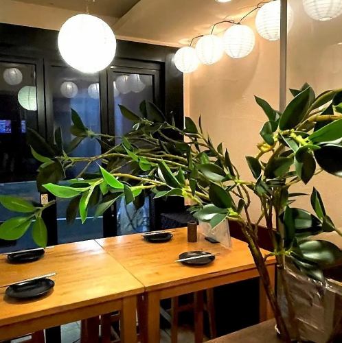 清潔感あふれる店内◎どなたでも気軽に楽しめる空間