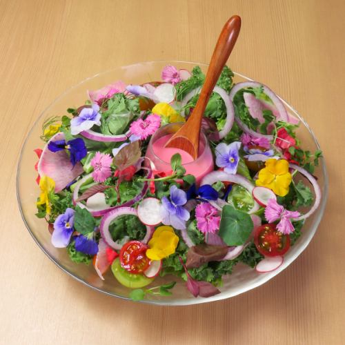 22種類の農園野菜と花のサラダ