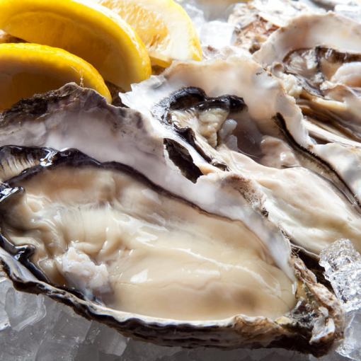 [Ultimate raw oysters and grilled oysters tasting + all-you-can-eat raw oysters and grilled oysters] All-you-can-drink included 7,000 yen including tax