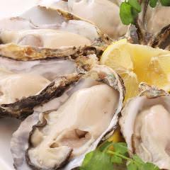 [All-you-can-eat raw oysters and grilled oysters] All-you-can-drink included! 5,980 yen (tax included)
