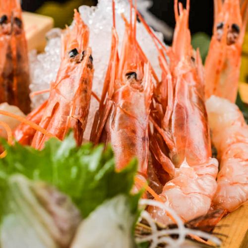 Sweet shrimp <10 bottles>