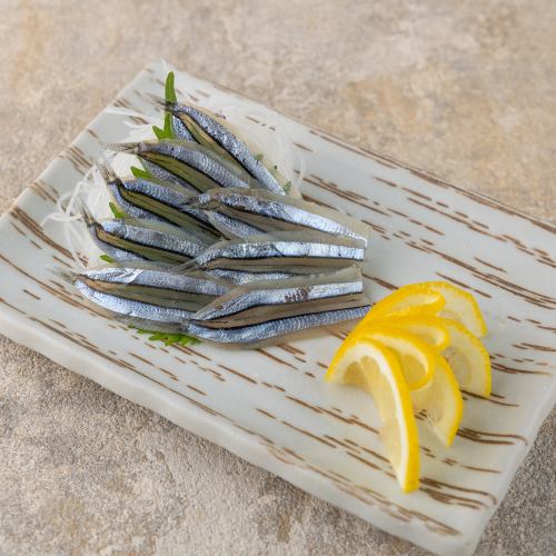 Silver-striped herring