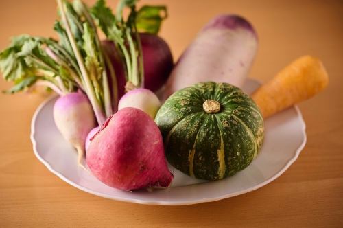 오늘의 포타 주
