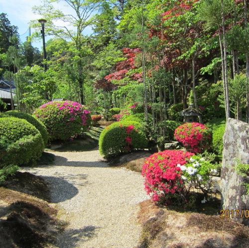 <Spreading Japanese garden>