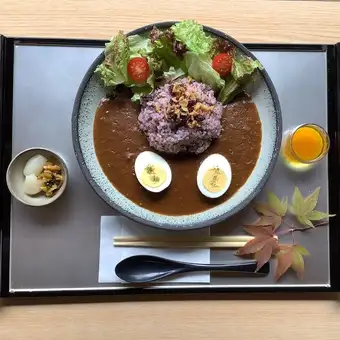 TERA Curry