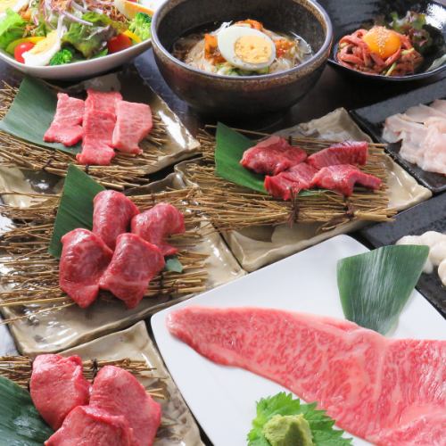 Various meat power JAPAN Rakutsubaki courses