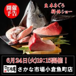 6/24(火)19:15～【生本まぐろ解体ショー】板前が鮮やかに巨大まぐろを捌く！