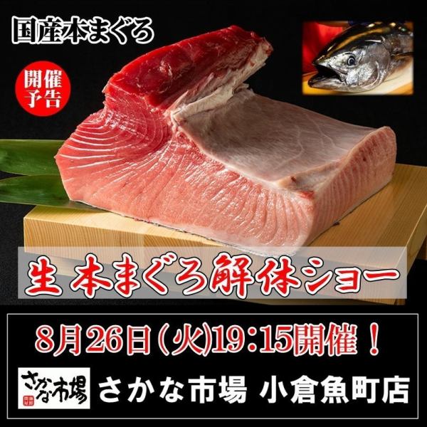 迫力満点！8/26(火)19:15～スタート・まぐろ解体ショー！