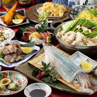 冬宴会【椿(つばき)】活イカやもつ鍋、ふぐ唐揚げや牛タン葱塩焼き等《120分飲み放題付》