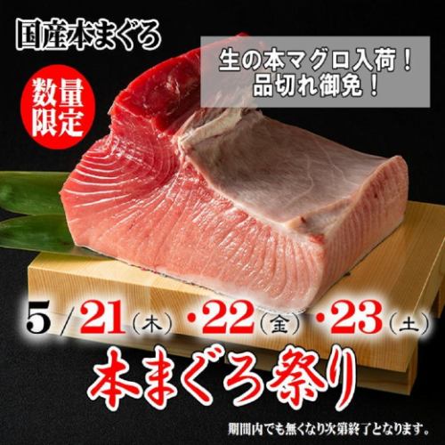 《生本まぐろ祭り》5/21(木)～23(土)の3日間の限定開催！