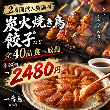 限時優惠：2 小時無限暢飲套餐，含炭烤雞肉串和餃子（共 40 道菜）[¥3480 → ¥2480]