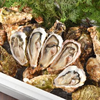 【OPEN記念】1日5組様限定！！【牡蠣食べ放題コース】お料理4品付き