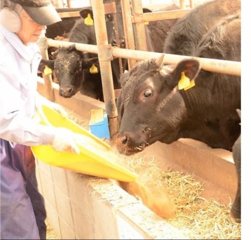 生産者の顔が見える牛肉を！