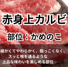 Lean Kalbi/Lean Top Kalbi