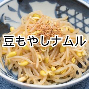 Bean sprout namul / Osmund fern namul / Spinach namul