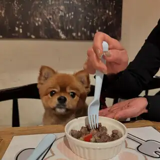 ◇ペット同伴OK◇