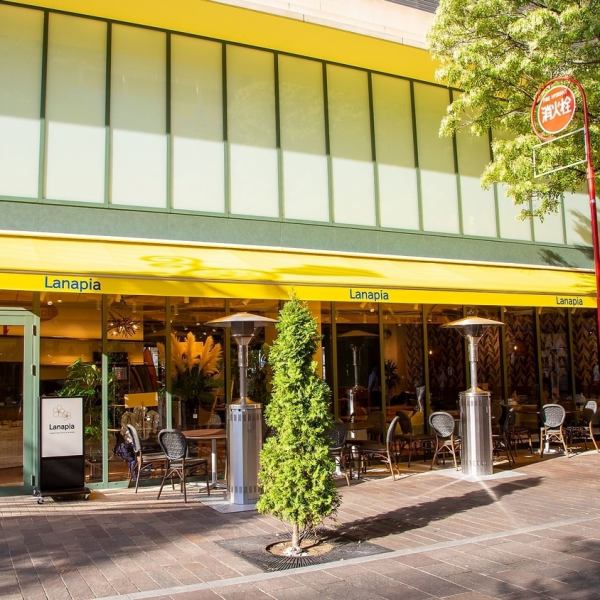≪サーフカルチャーに触れる展示物≫ラナピアの店内には、レジェンドサーファーが使用したハワイのサーフィンの歴史と伝説を感じる貴重なサーフボードが展示されており、お客様がハワイのサーフカルチャーに触れる機会をご提供いたします。