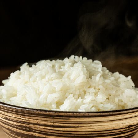 ライス(中)