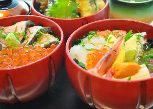 Bowl of rice topped with sashimi