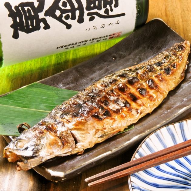 干物の作り方 鯵 アジ