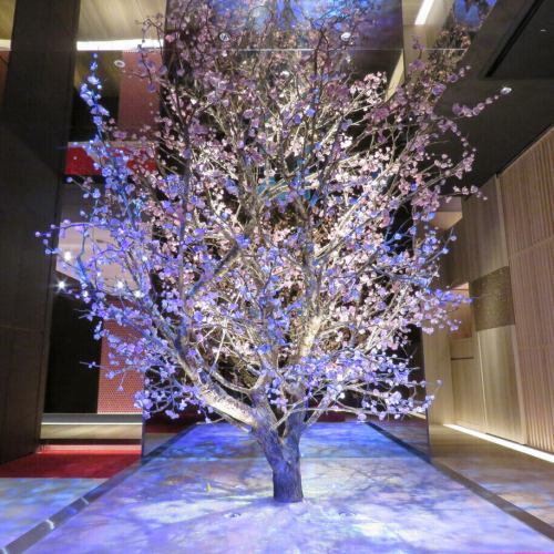 Hospitality in a fantastic, extraordinary space