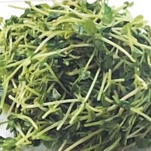 豆苗のさっぱり炒め