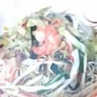 野菜たっぷり焼きビーフン