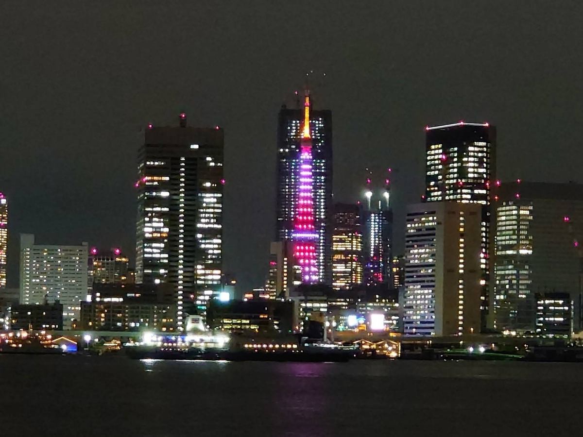 東京の夜景を独占！思い出に残るデートならお任せください♪