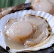 Squid/Scallop with shell (1 piece) each