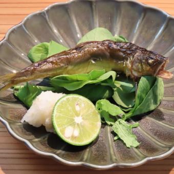 런치 쇼트 코스 4500엔