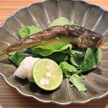 런치 쇼트 코스 4500엔