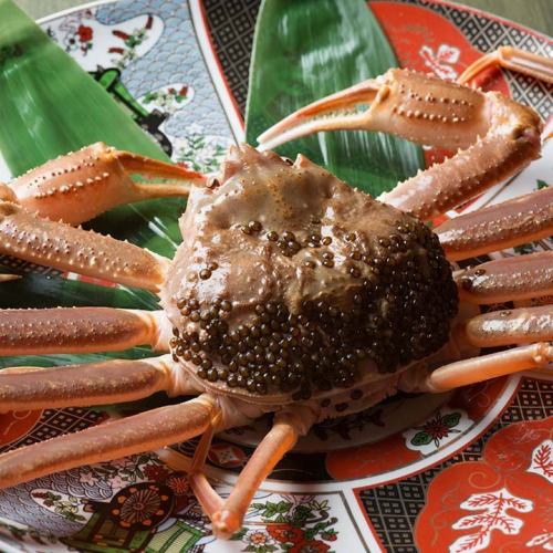 Directly delivered from Kanazawa Port and Wajima Port! ``Kano Crab for sale'' (Snow Crab from Ishikawa Prefecture) (Limited period until April / Ends when stock runs out)