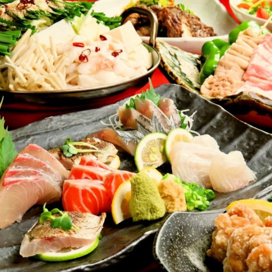 [Otsunabe Course★] Enjoy sashimi and offal hotpot! Draft beer is also OK★ 2H all-you-can-drink included, total of 9 dishes for 5,500 yen (tax included)