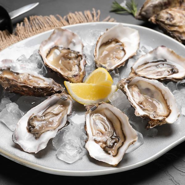 [All-you-can-eat oysters] Enjoy all-you-can-eat freshly landed oysters to your heart's content!