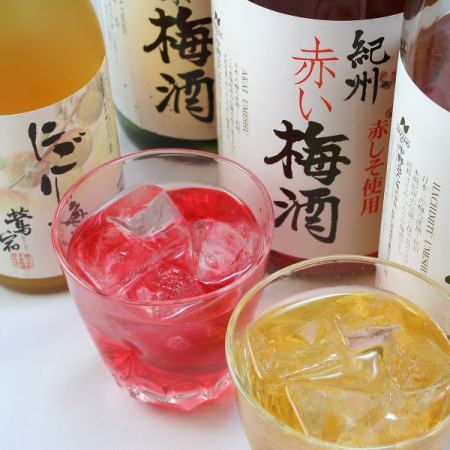 【梅酒无限畅饮】2小时无限畅饮方案、约46种、1,980日元（含税）