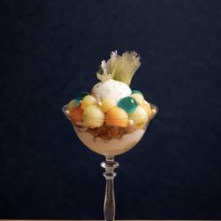 POLO (Ends September 2nd)