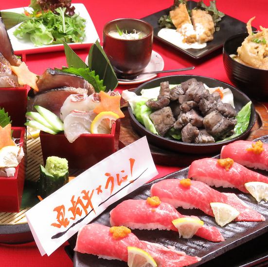 本店限定！鮮魚、草烤鰹魚等9道菜+2H無限暢飲4,000日圓★
