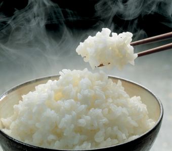 宮崎県産米100%　ふっくらご飯　(並)