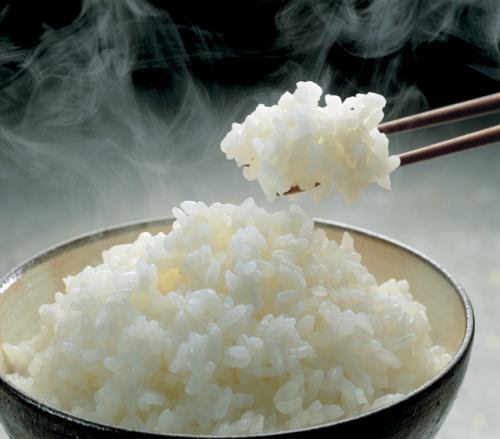 미야자키현산 쌀 100% 통통 밥 (보통)