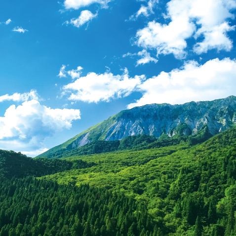 大山的自然和天然水。大山被列为日本四大名山之一。丰富的自然环境所带来的清新的空气和营养丰富的天然水，真是大山的恩赐。