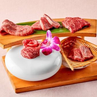 まずはここから！たくみ　春満開コース《2.5時間飲み放題付き》6,600円 (税込)
