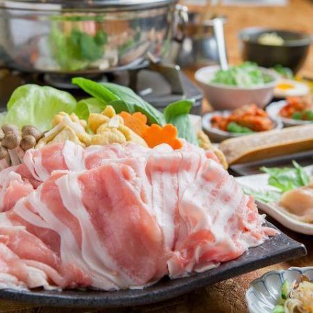 特製豬肉涮鍋和德島名牌阿波舞雞的英文套餐 3,980日圓（含稅）
