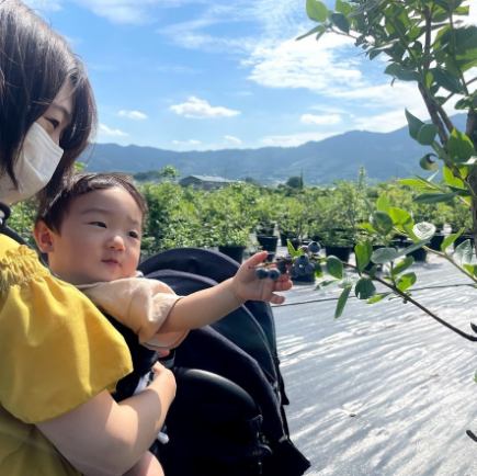 Blueberry picking! Unlimited time◎All you can eat! Take-out included! [Limited time ~ until mid-August]