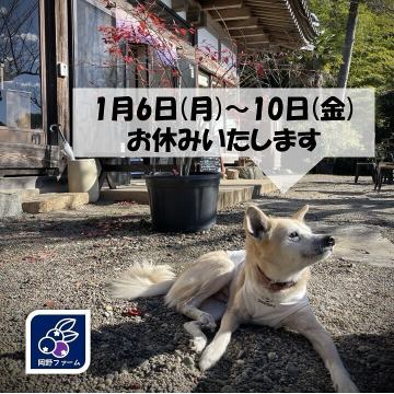 ⭐︎
1月６日(月)