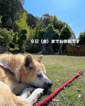 5月９日（金）までお