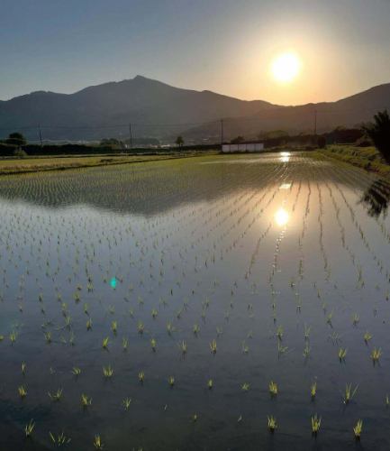 田植えが終わり、田んぼにはかわいい稲がぱやぱやと風に揺れています🌾

先代から田んぼを引き継ぎ５年。
経験値を積み上げながらも毎年が勉強ですあり、毎年が新たな感動です。

田んぼは、のんびりと育っているように見えますが、水管理や除草など、結構作業もあります。

秋にはおいしい「吉生米」をみなさんに食べていただけるよう丹精込めて育てていきたいと思います🧑‍🌾

#田植えの風景 #田植え #吉生米 #岡野ファーム #岡野ファームランチ #里山