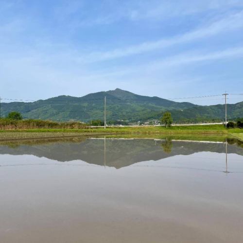 水に浮かぶ里山

田植え前の季節は、田んぼに水が張られ、そこに山々や空、新緑の木々が映り、風や鳥の囀りや水の流れる音がBGMとなり、とても綺麗な景観が広がります🙂

新緑が萌える今が自分も一番好きな季節です

是非里山であなたのベストな風景を見つけてください📸

#里山 #田植え #里山の暮らし #古民家カフェ