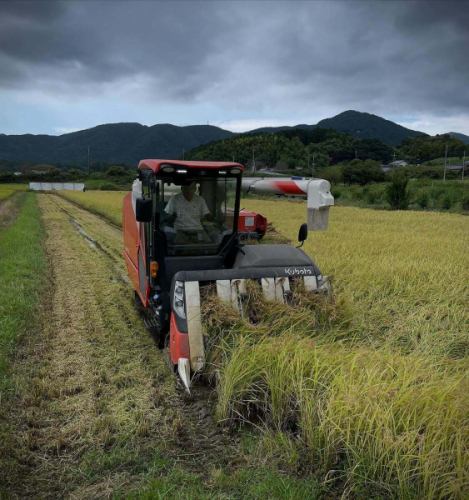 This year's rice harvest has finished safely.

This year, my daughter and her husband came to help out.

Although many things happened this year, we are grateful that we were able to harvest safely and welcome a fruitful autumn.

Once it's ready, we'll serve the new rice in the cafe, so please wait a little longer.

#NewRice #RiceFarmer #IbarakiRice #YoshinoRice #OkanoFarm #OldHouseCafe #RiceSales